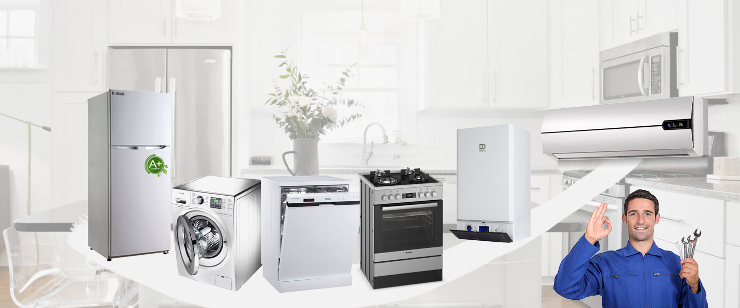 Ceylanpınar Smeg Servisi